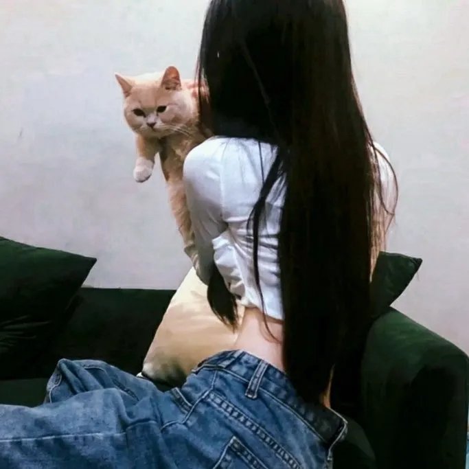 如果我是你