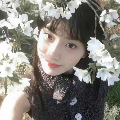 青春无季